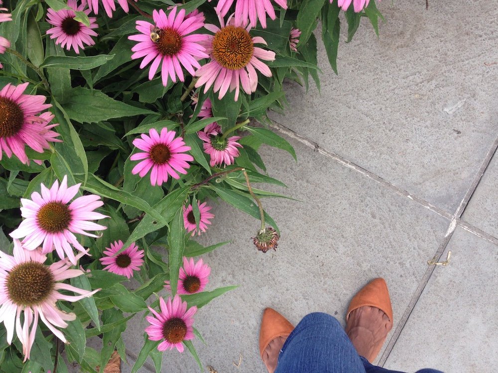 Cross-Cultural Perspectives On Expressing Subjective Value Define Well-Being